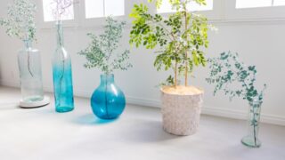 部屋に飾られた花瓶