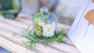 ガラスドームのお花